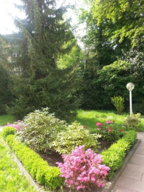 Apartment near Villa Turgenev